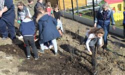 Plantations Cavalier   039